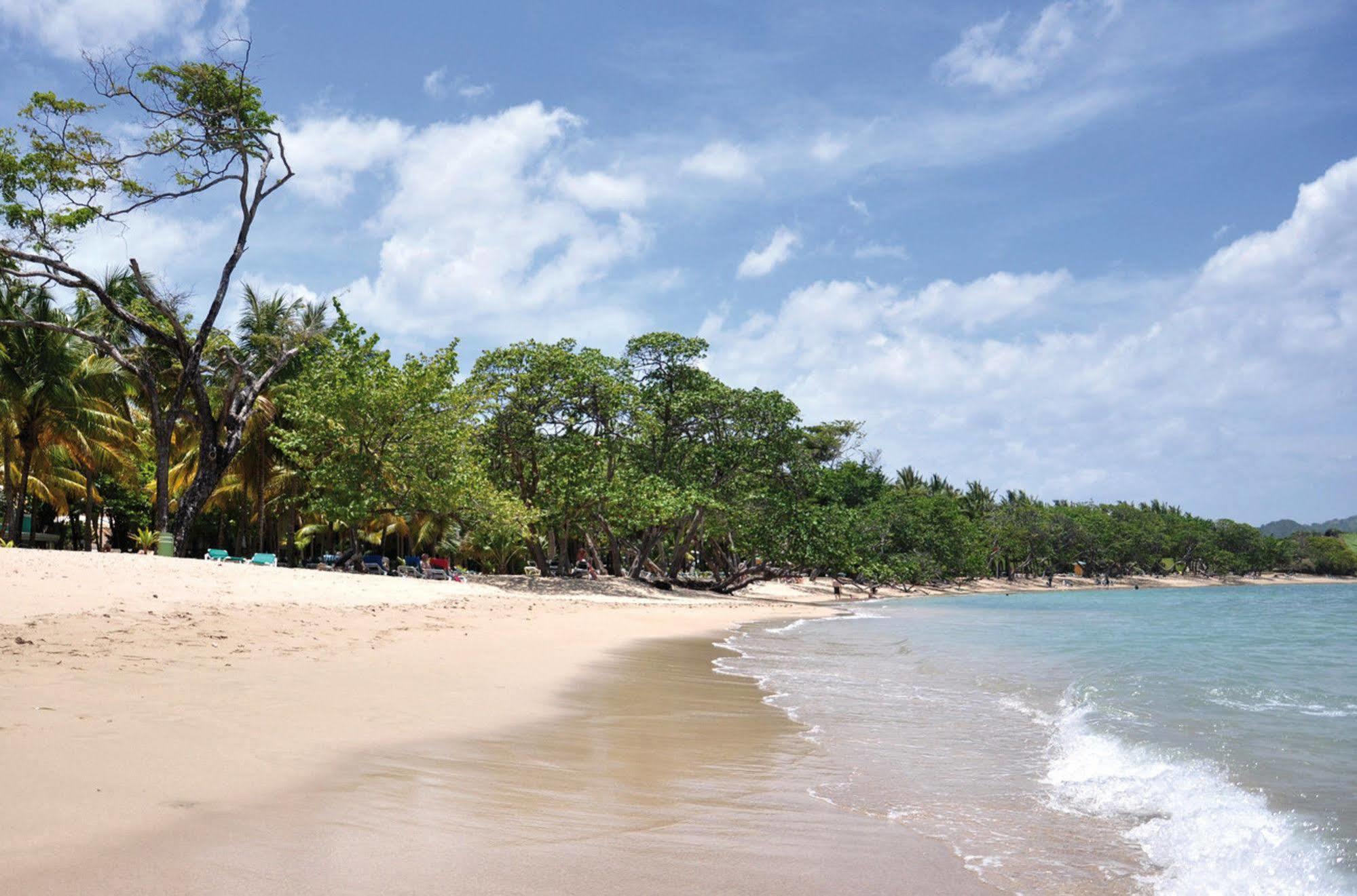 Senator Puerto Plata Vip Hotel Bagian luar foto